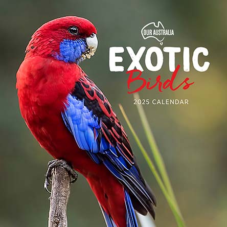2025 Our Australia Exotic Birds Calendar