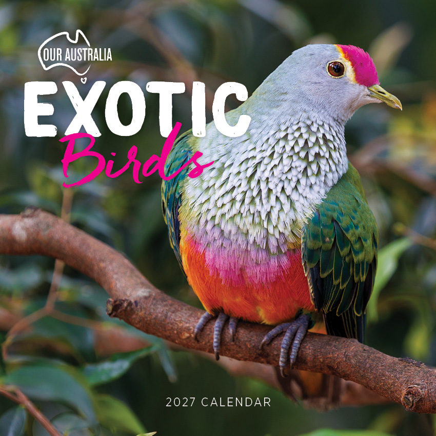Our Australia Exotic Birds Calendar 2027