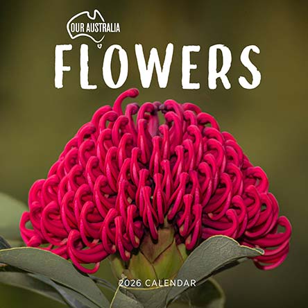 Our Australia Flowers 2026 Calendar