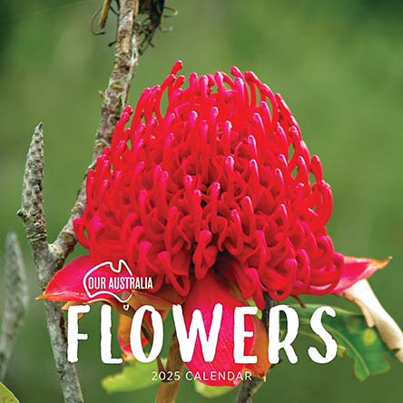 Our Australia Flowers 2025 Calendar