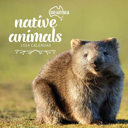 2024 Our Australia Native Animals Calendar