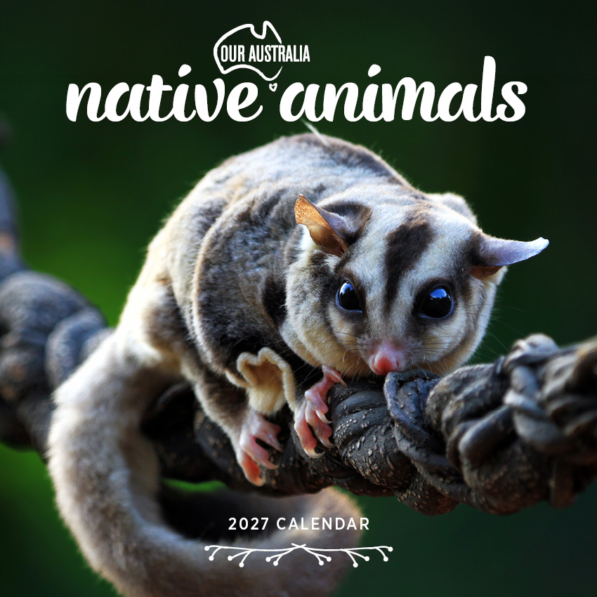 Our Australia Native Animals Calendar 2027