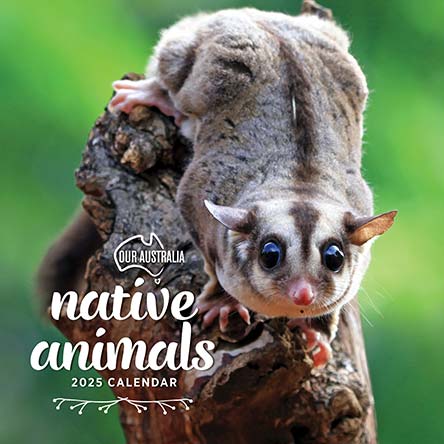 Our Australia Native Animals 2025 Calendar