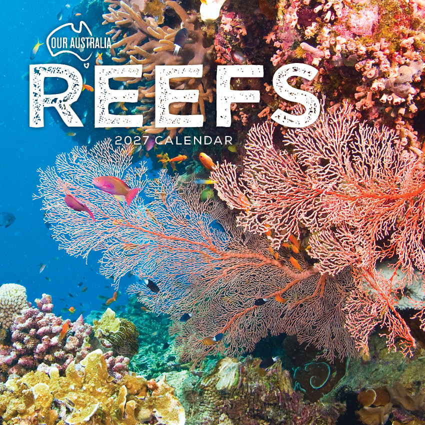 Our Australia Reefs Above & Below Calendar 2027