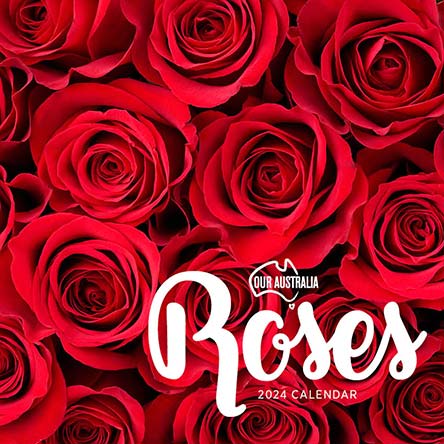 2024 Our Australia Roses Calendar