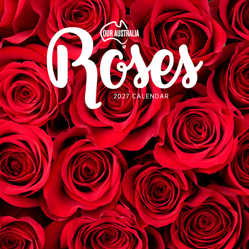 Our Australia Roses Calendar 2027
