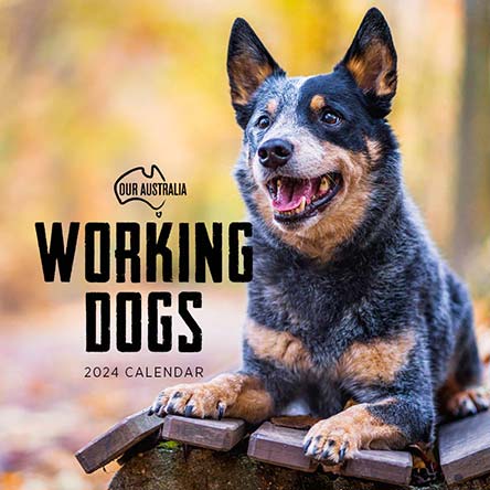 2024 Our Australia Working Dogs Calendar