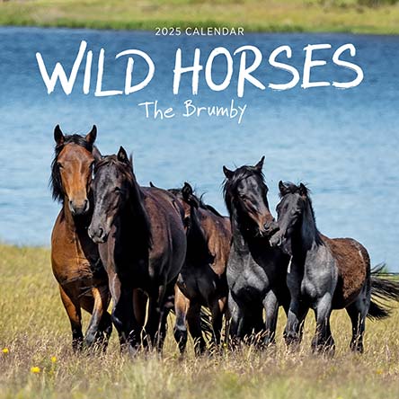 Our Australia Wild Horses 2025 Calendar