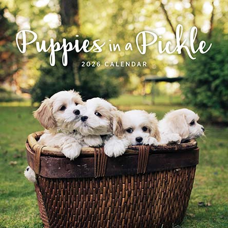 Puppies in a Pickle 2026 Calendar