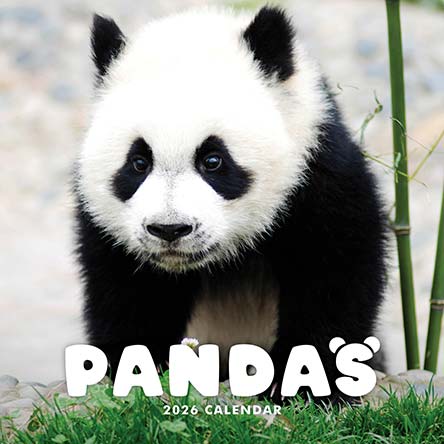 Pandas 2026 Calendar