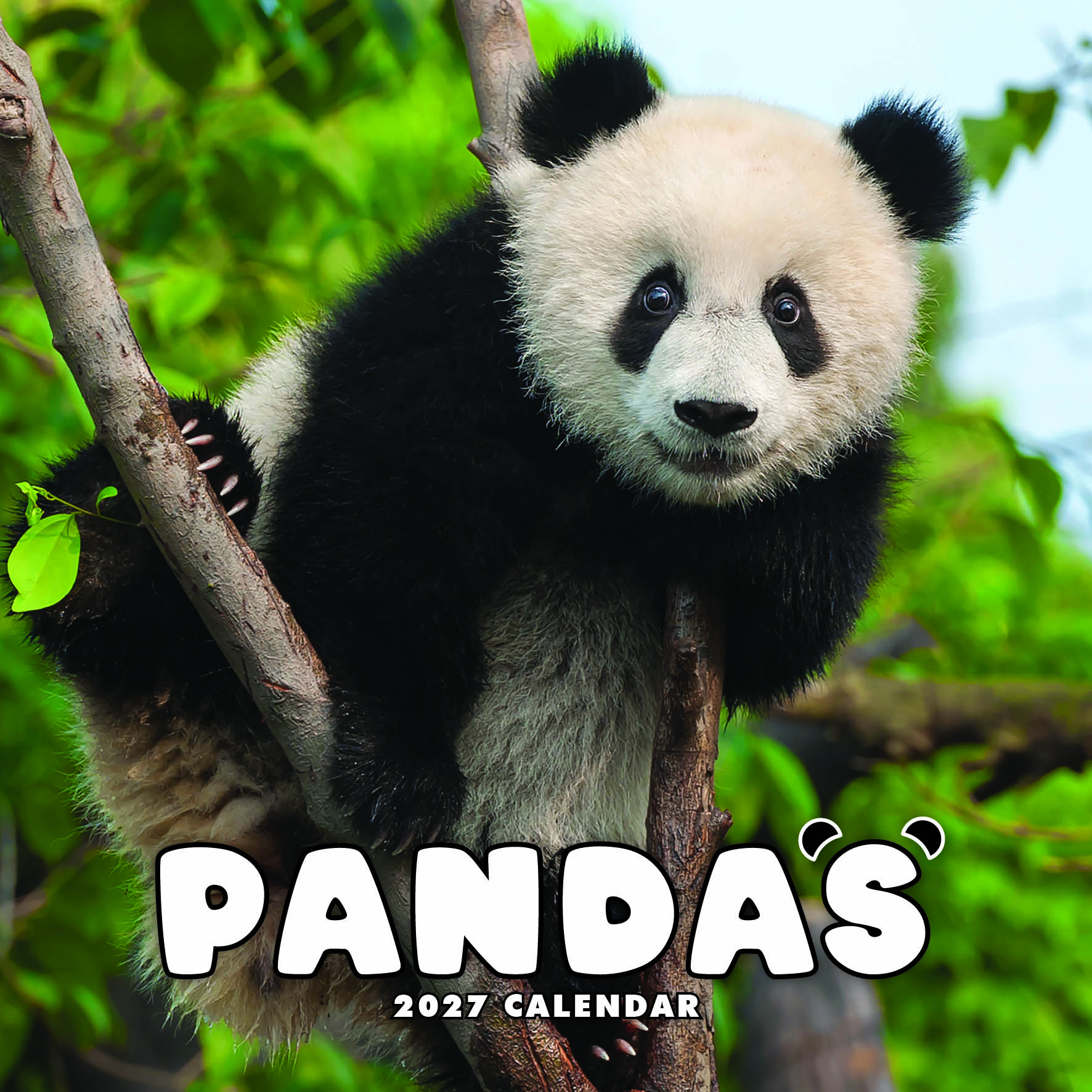 Pandas Calendar 2027