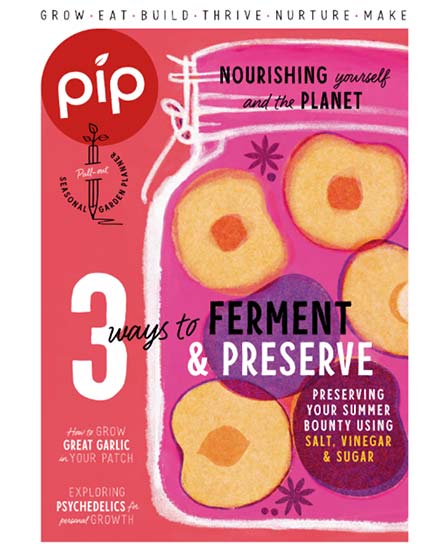 Pip Magazine Subscription