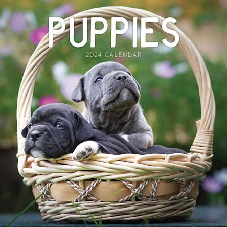 2024 Puppies Calendar