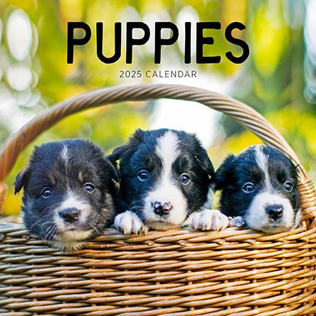 2025 Puppies Calendar