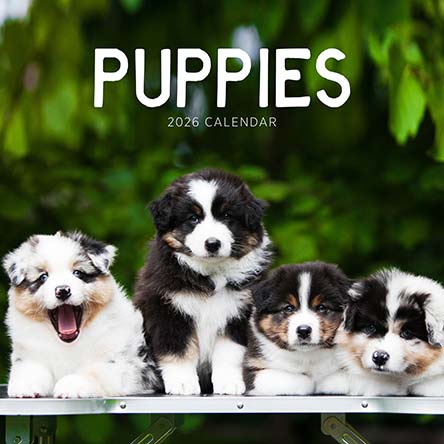 Puppies 2026 Calendar