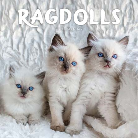 2024 Ragdolls Calendar