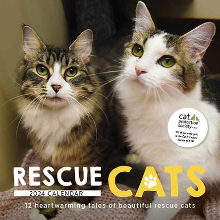 2024 Rescue Cats Calendar