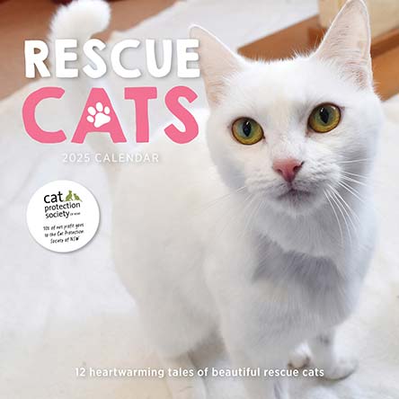 Rescue Cats 2025 Calendar