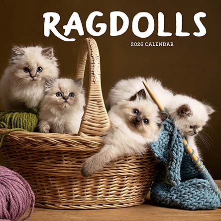 Ragdolls 2026 Calendar