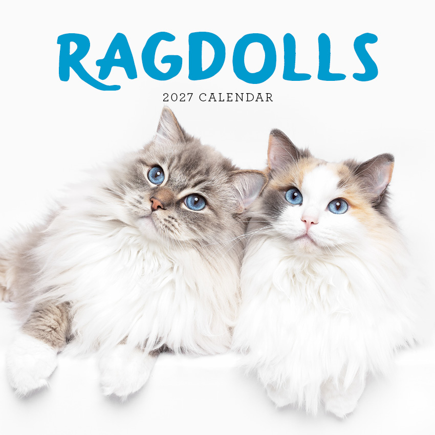 Ragdolls Calendar 2027