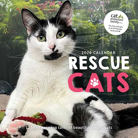 Rescue Cats 2026 Calendar
