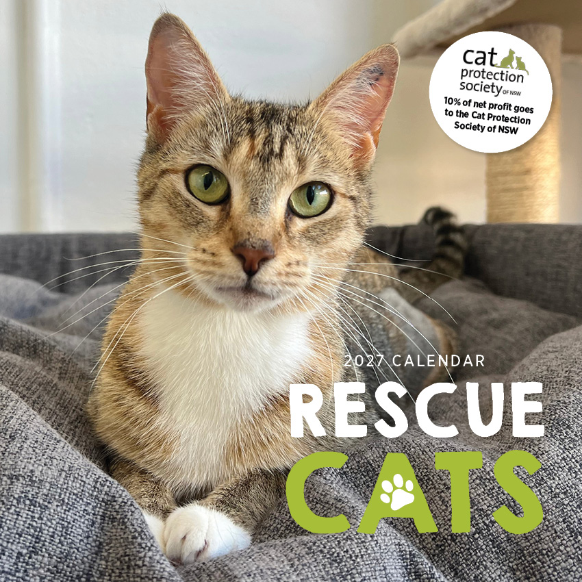 Rescue Cats Calendar 2027