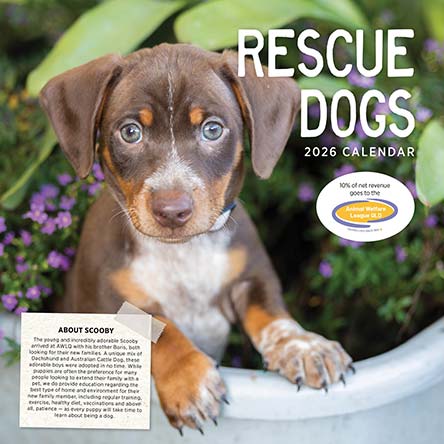 Rescue Dogs 2026 Calendar