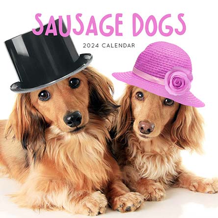 2024 Sausage Dogs Calendar