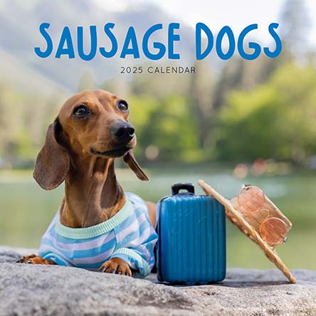 2025 Sausage Dogs Calendar