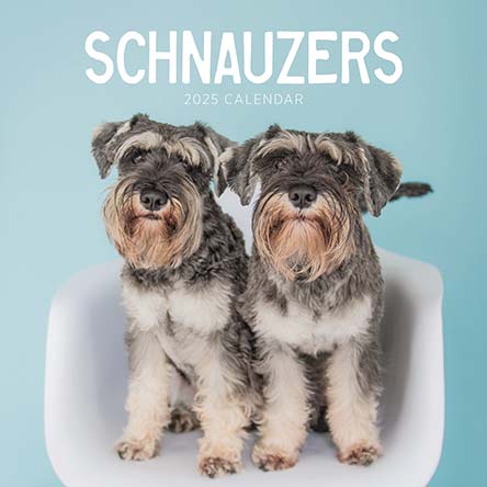 Schnauzers 2025 Calendar