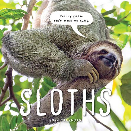 2024 Sloths Calendar