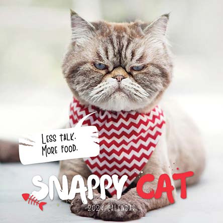 2024 Snappy Cat Calendar