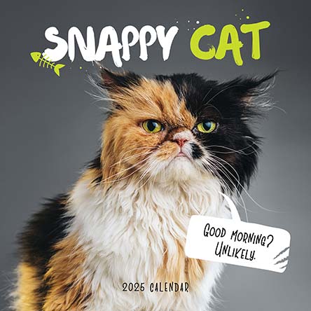 Snappy Cat 2025 Calendar