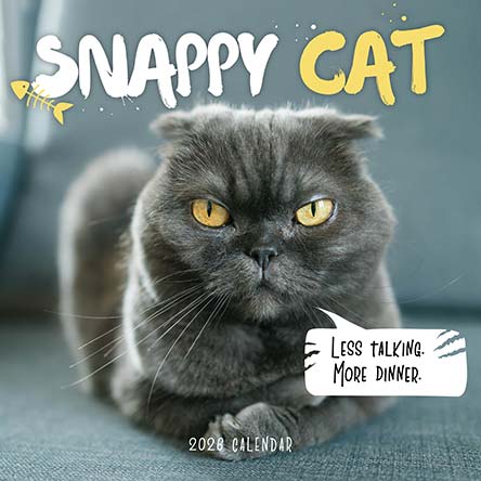 Snappy Cat 2026 Calendar