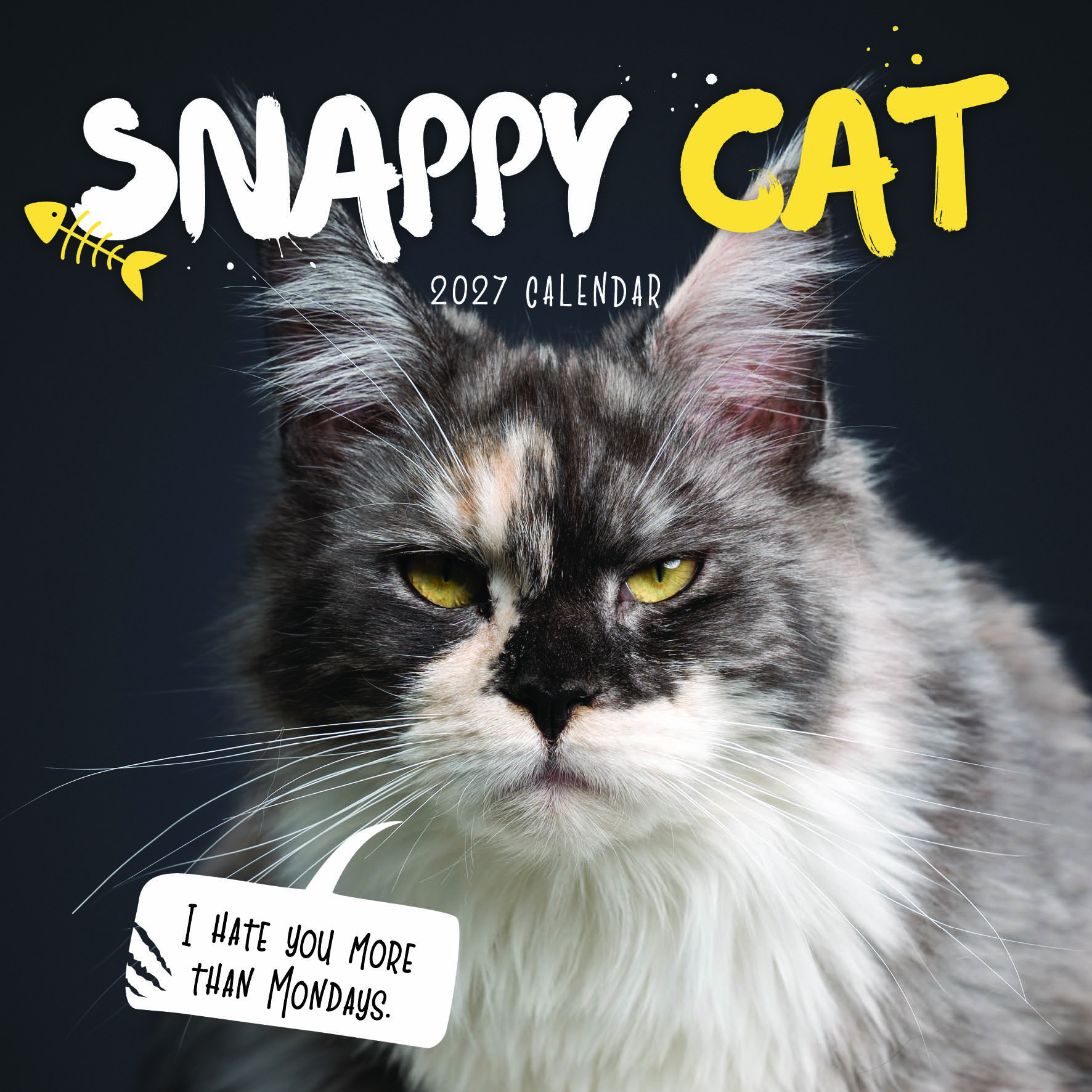 Snappy Cat Calendar 2027