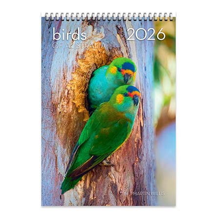 2026 Birds of Australia Large Wall Calendar