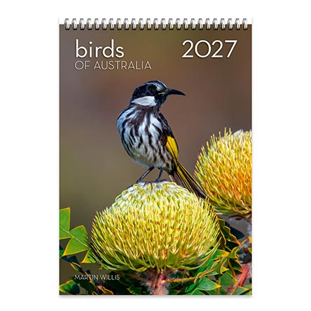 2027 Birds of Australia Large Wall Calendar