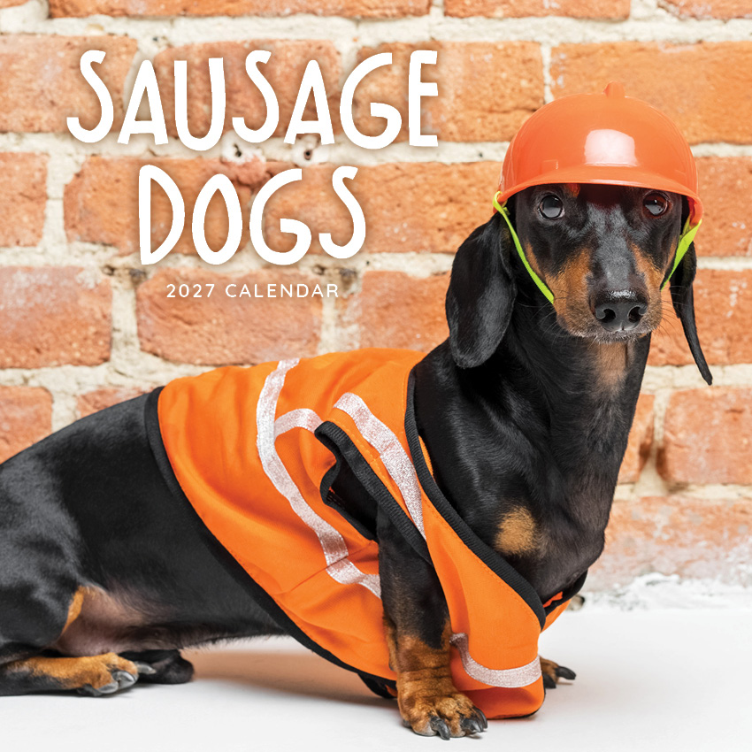 Sausage Dogs Calendar 2027