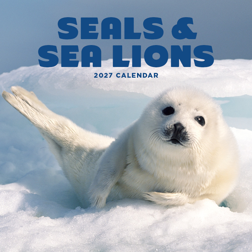 Seals and Sea Lions Calendar 2027