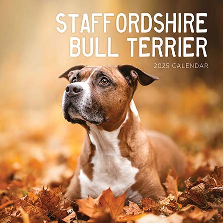 Staffordshire Bull Terriers 2025 Calendar