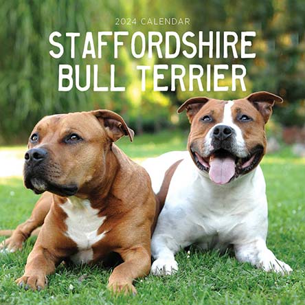 2024 Staffordshire Bull Terriers Calendar