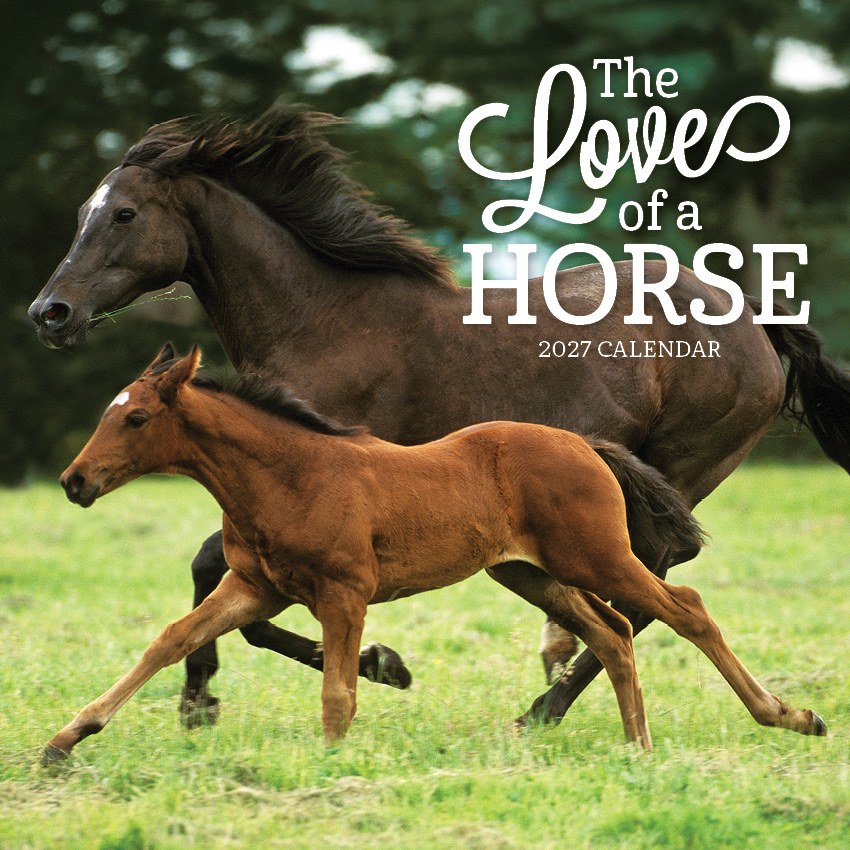 The Love of a Horse Calendar 2027