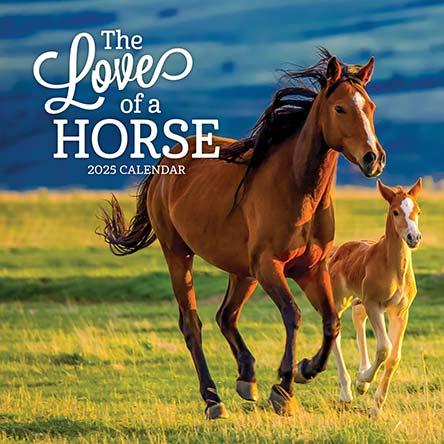 The Love of a Horse 2025 Calendar