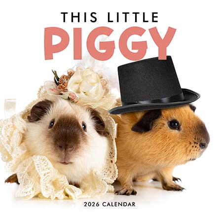 This Little Piggy 2026 Calendar
