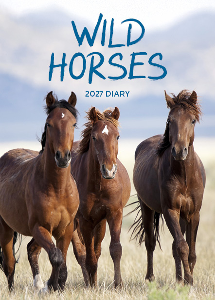 Wild Horses 2027 Diary