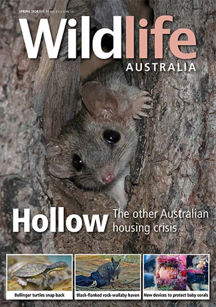 WildLife Australia Magazine Subscription