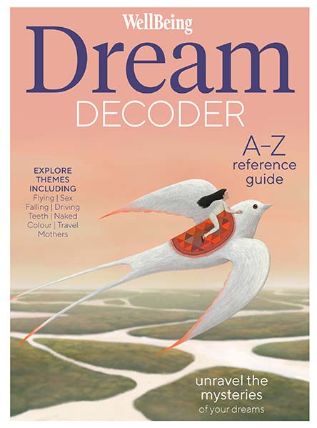 WellBeing Dream Decoder Bookazine