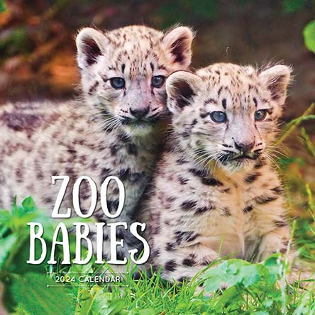2024 Zoo Babies Calendar